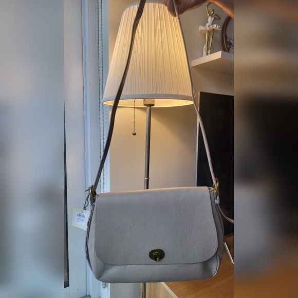 Fossil Light Gray Crossbody Bag - Picture 3 of 10